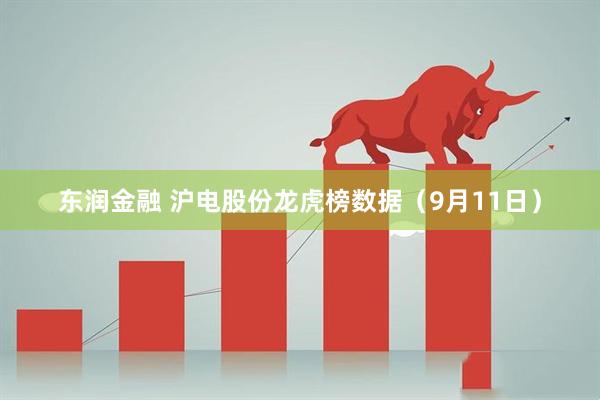 东润金融 沪电股份龙虎榜数据（9月11日）