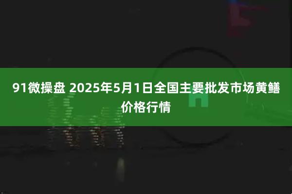 91微操盘 2025年5月1日全国主要批发市场黄鳝价格行情