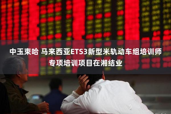中玉束哈 马来西亚ETS3新型米轨动车组培训师专项培训项目在湘结业