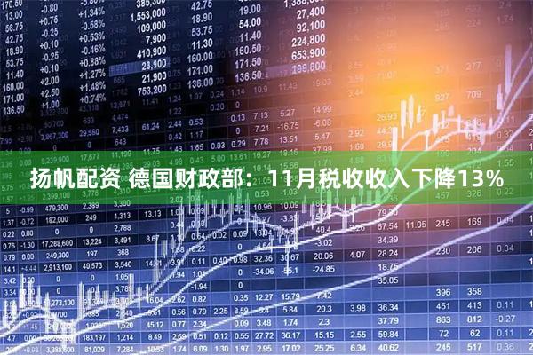 扬帆配资 德国财政部：11月税收收入下降13%