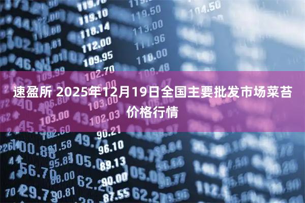 速盈所 2025年12月19日全国主要批发市场菜苔价格行情