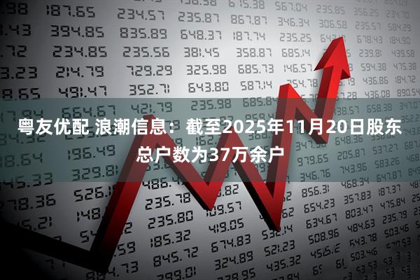粤友优配 浪潮信息：截至2025年11月20日股东总户数为37万余户