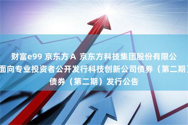 财富e99 京东方Ａ 京东方科技集团股份有限公司2025年面向专业投资者公开发行科技创新公司债券（第二期）发行公告