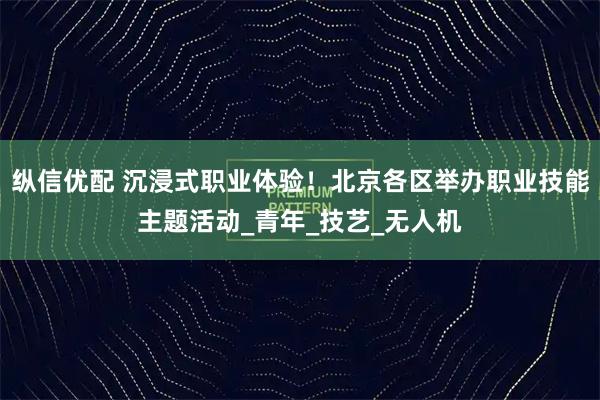 纵信优配 沉浸式职业体验！北京各区举办职业技能主题活动_青年_技艺_无人机